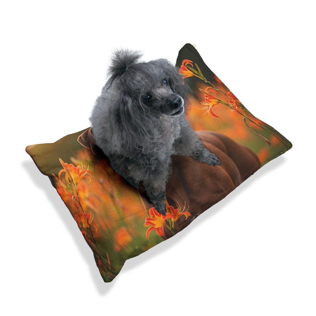 Pet Bed – Plush Dog Bed, 3 Size Options