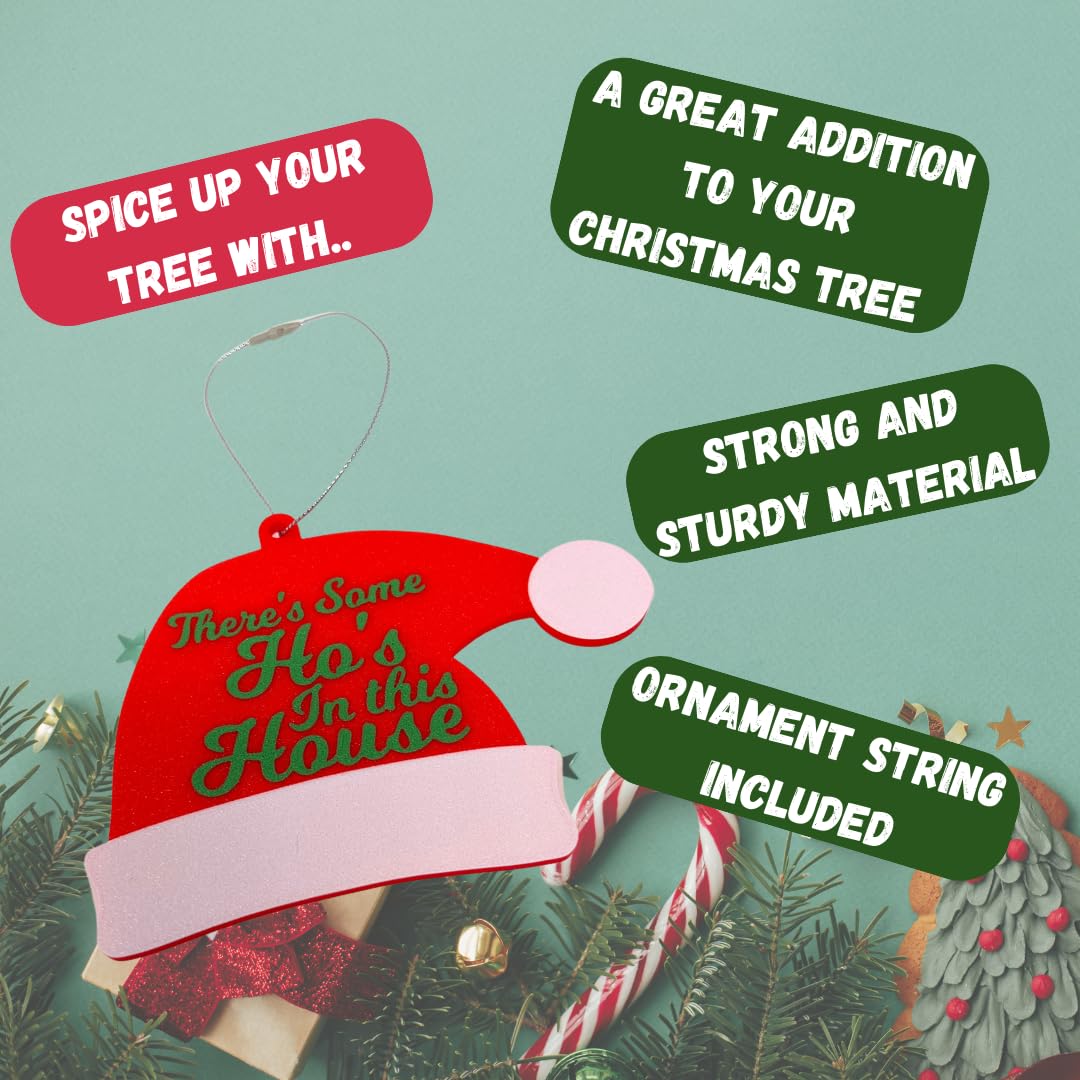 I Put Out (Cookies) for Santa Ornament | Funny Christmas Ornaments | Holiday Decor Perfect for Dirty Santa Gifts! | Made in USA