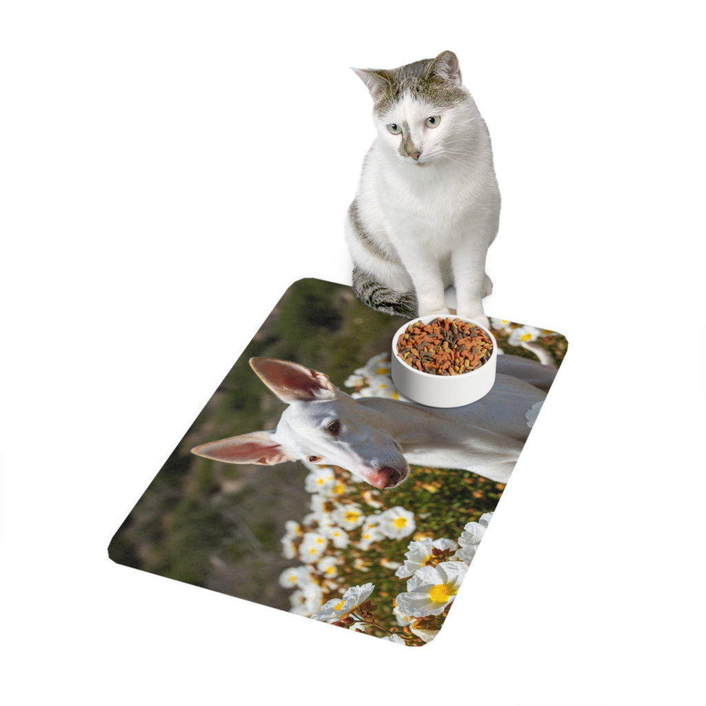 Non-Slip Pet Food Mat – Waterproof Feeding Mat for Dogs