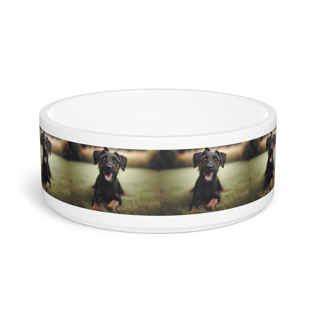 Ceramic Pet Bowl – 16 oz Dog Feeding Bowl