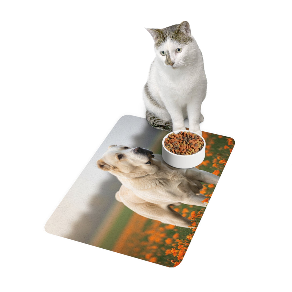 Non-Slip Pet Food Mat – Waterproof Feeding Mat for Dogs