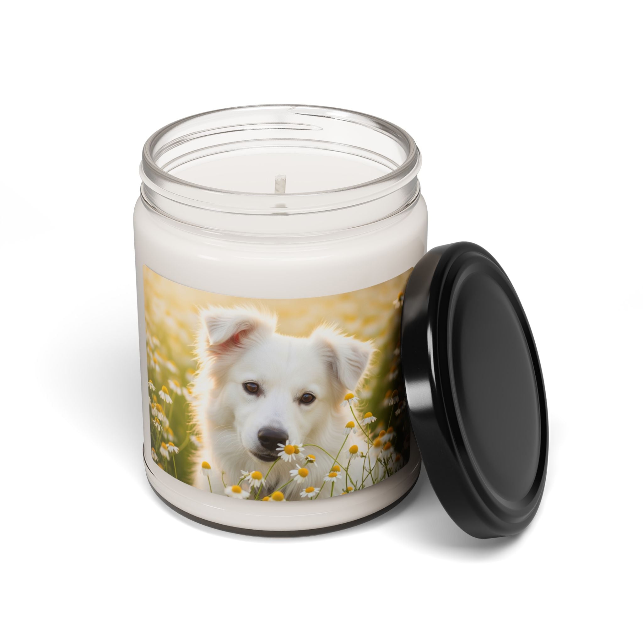 Soy Candle – Scented Jar Candle