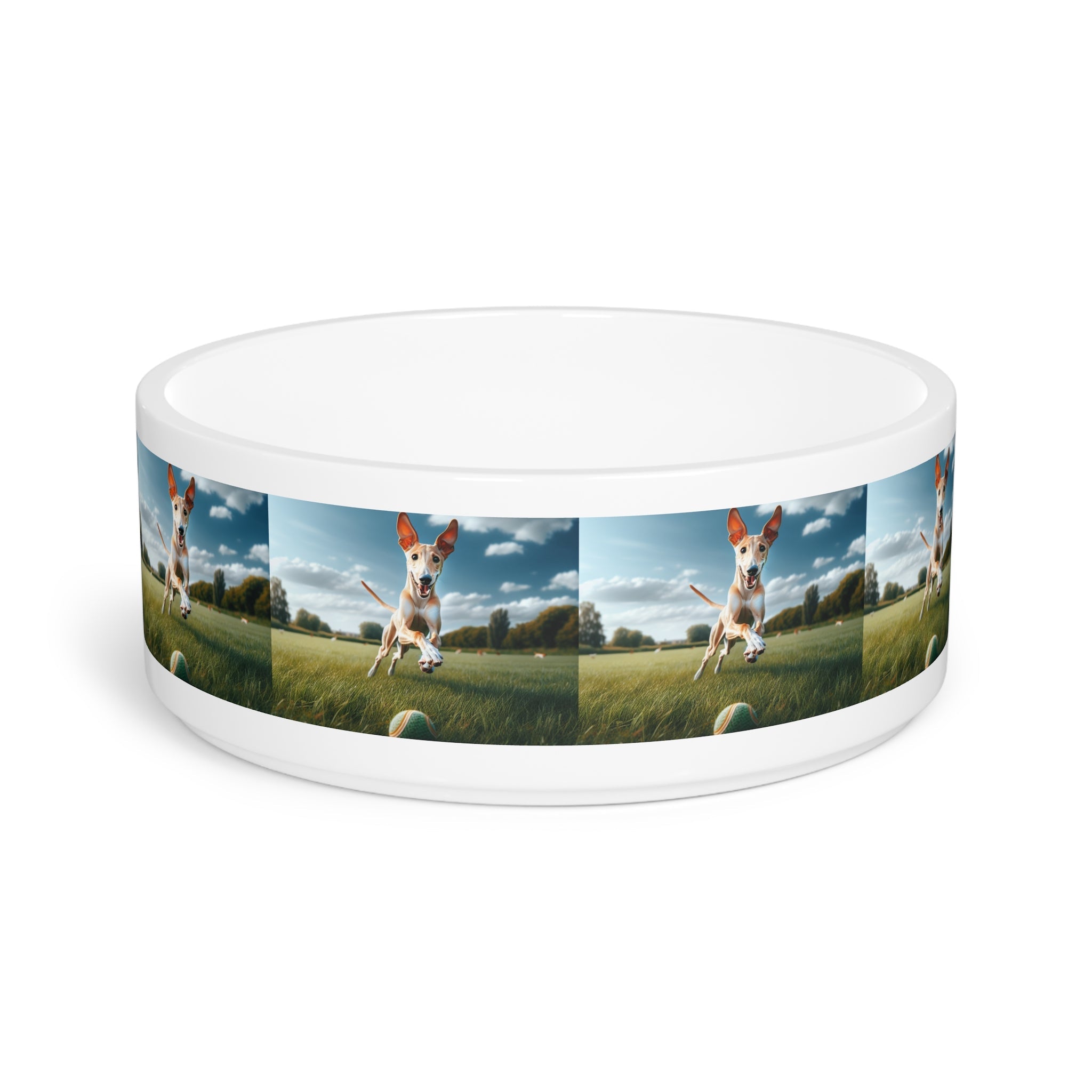 Ceramic Pet Bowl – 16 oz Dog Feeding Bowl