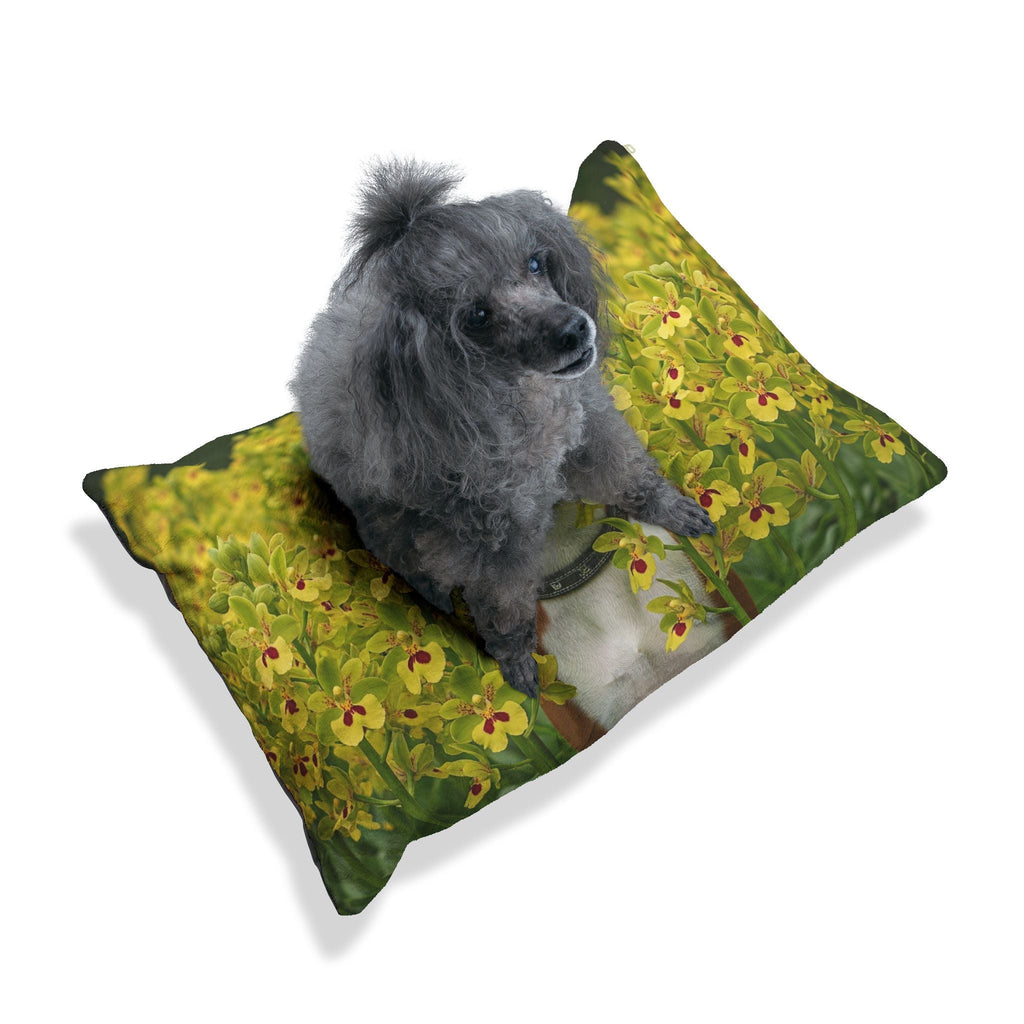 Pet Bed – Plush Dog Bed, 3 Size Options
