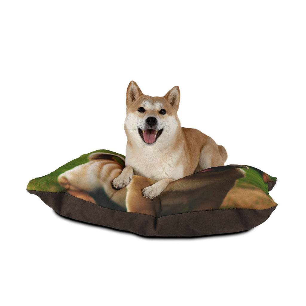 Pet Bed – Plush Dog Bed, 3 Size Options