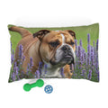Pet Bed – Plush Dog Bed, 3 Size Options