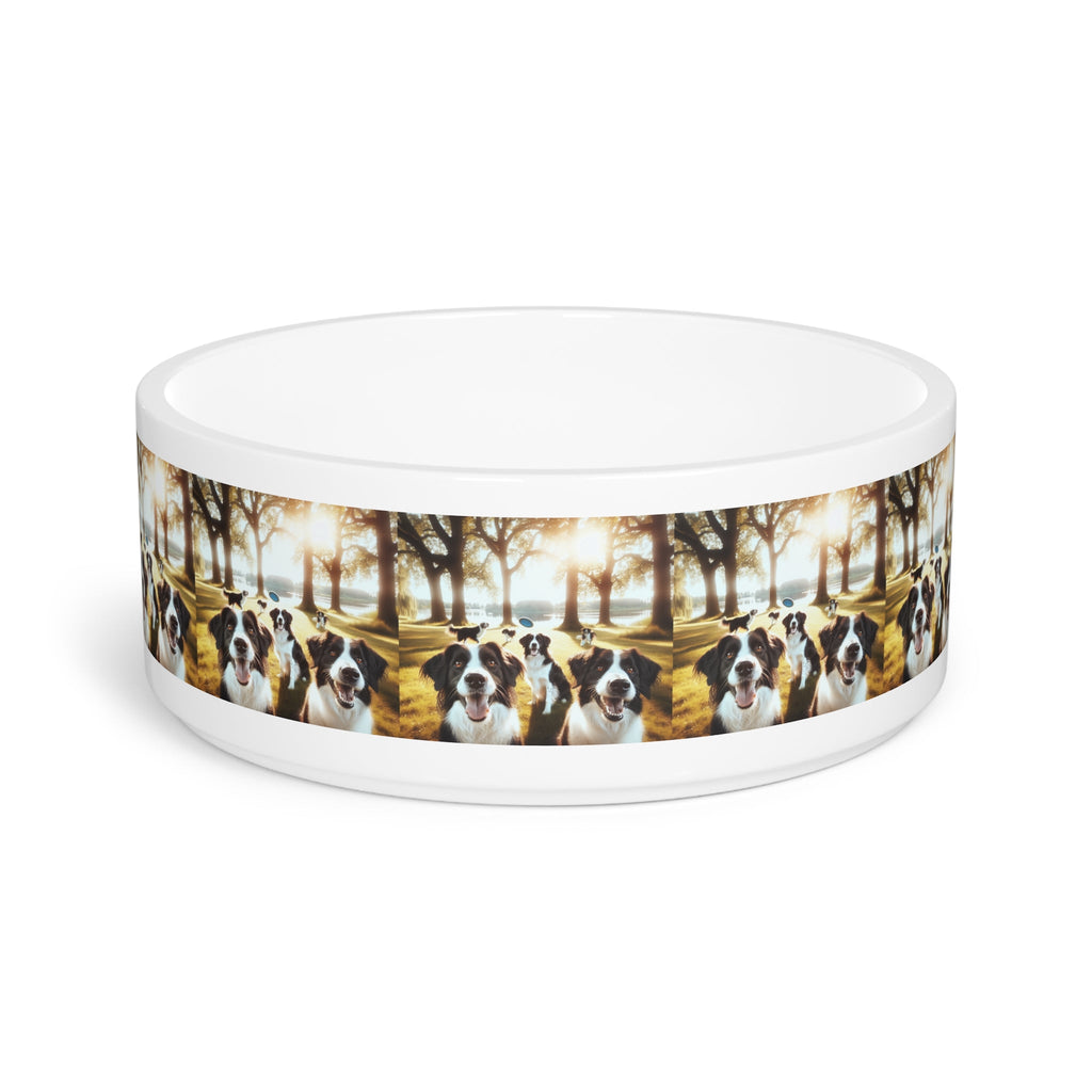 Ceramic Pet Bowl – 16 oz Dog Feeding Bowl