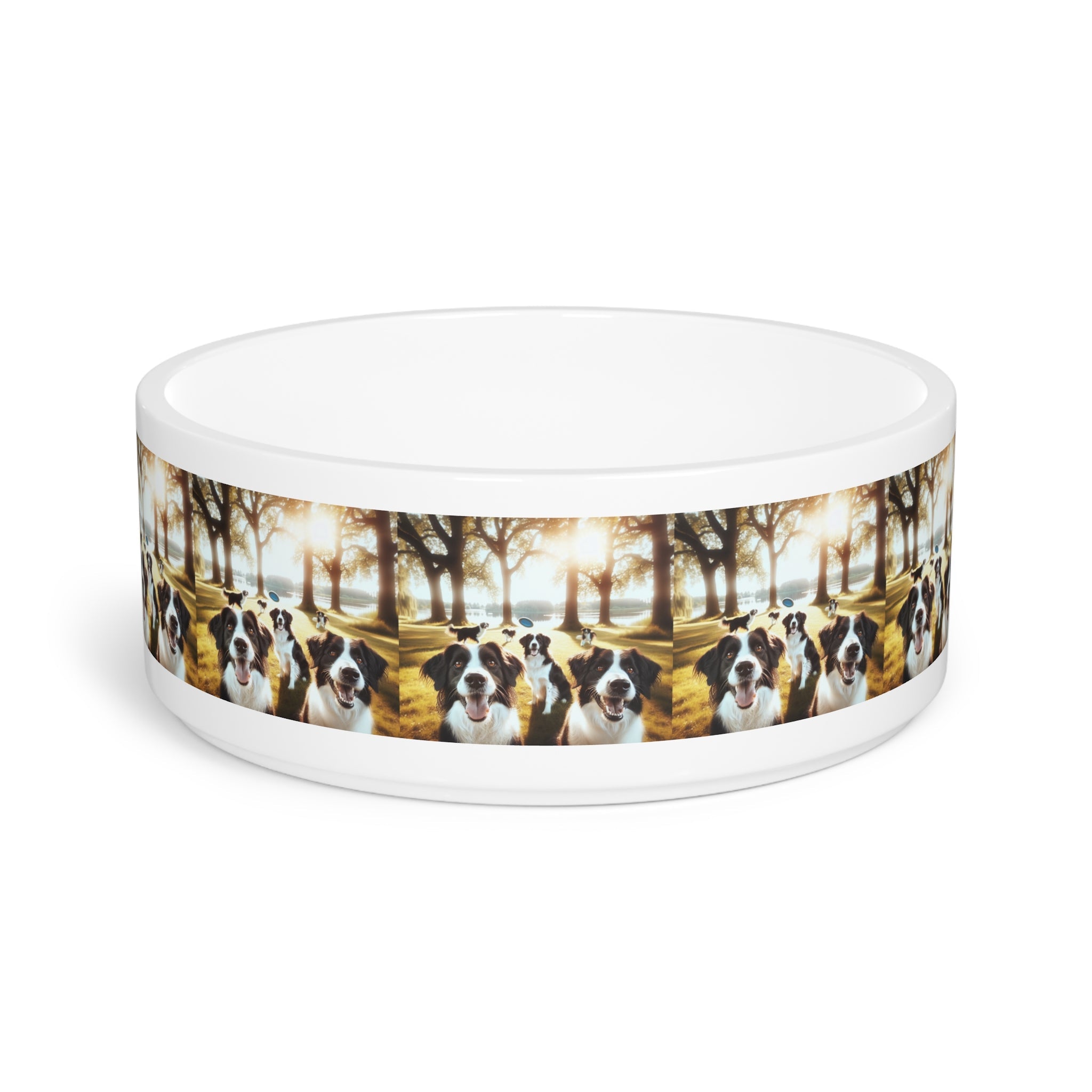 Ceramic Pet Bowl – 16 oz Dog Feeding Bowl