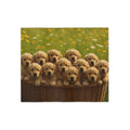 Sweatshirt Blanket – Plush Fleece Throw, 2 Size Options