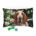 Pet Bed – Plush Dog Bed, 3 Size Options