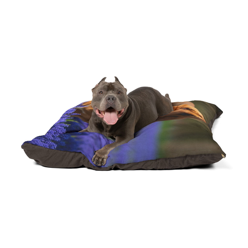 Pet Bed – Plush Dog Bed, 3 Size Options