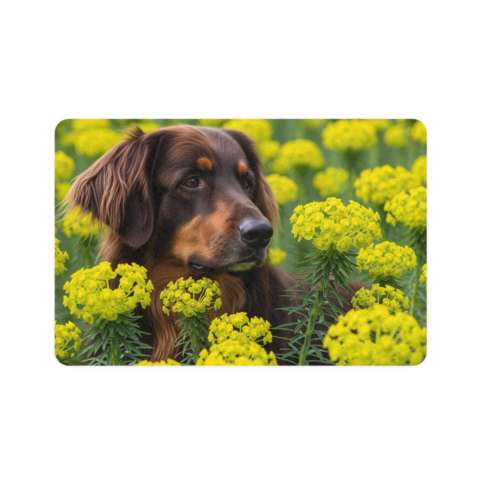 Non-Slip Pet Food Mat – Waterproof Feeding Mat for Dogs