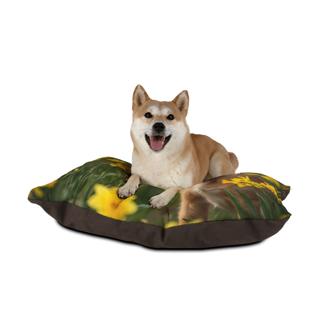 Pet Bed – Plush Dog Bed, 3 Size Options