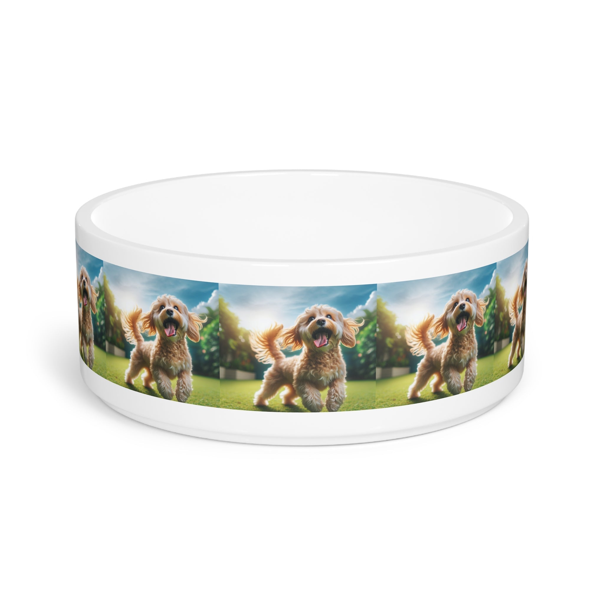 Ceramic Pet Bowl – 16 oz Dog Feeding Bowl