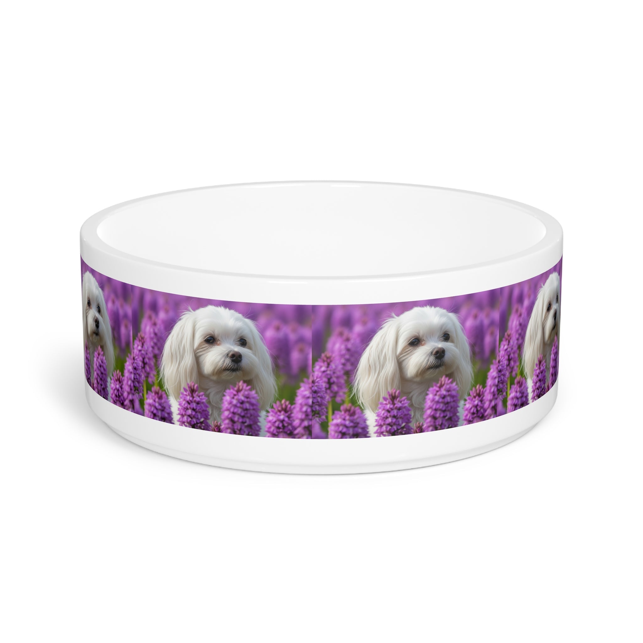 Ceramic Pet Bowl – 16 oz Dog Feeding Bowl