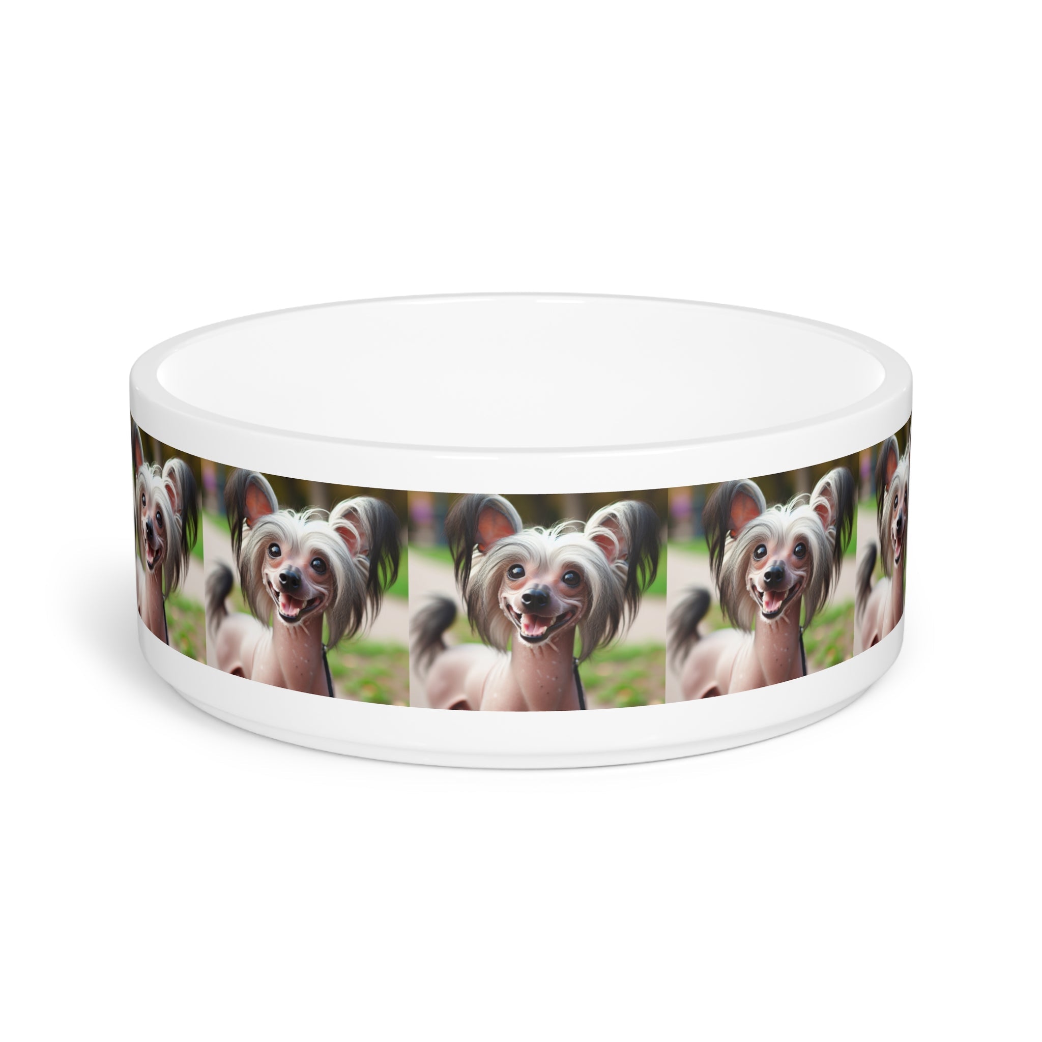 Ceramic Pet Bowl – 16 oz Dog Feeding Bowl
