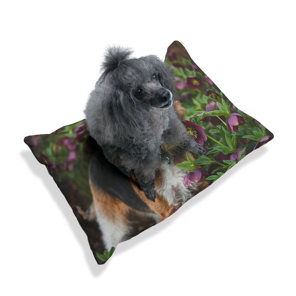 Pet Bed – Plush Dog Bed, 3 Size Options