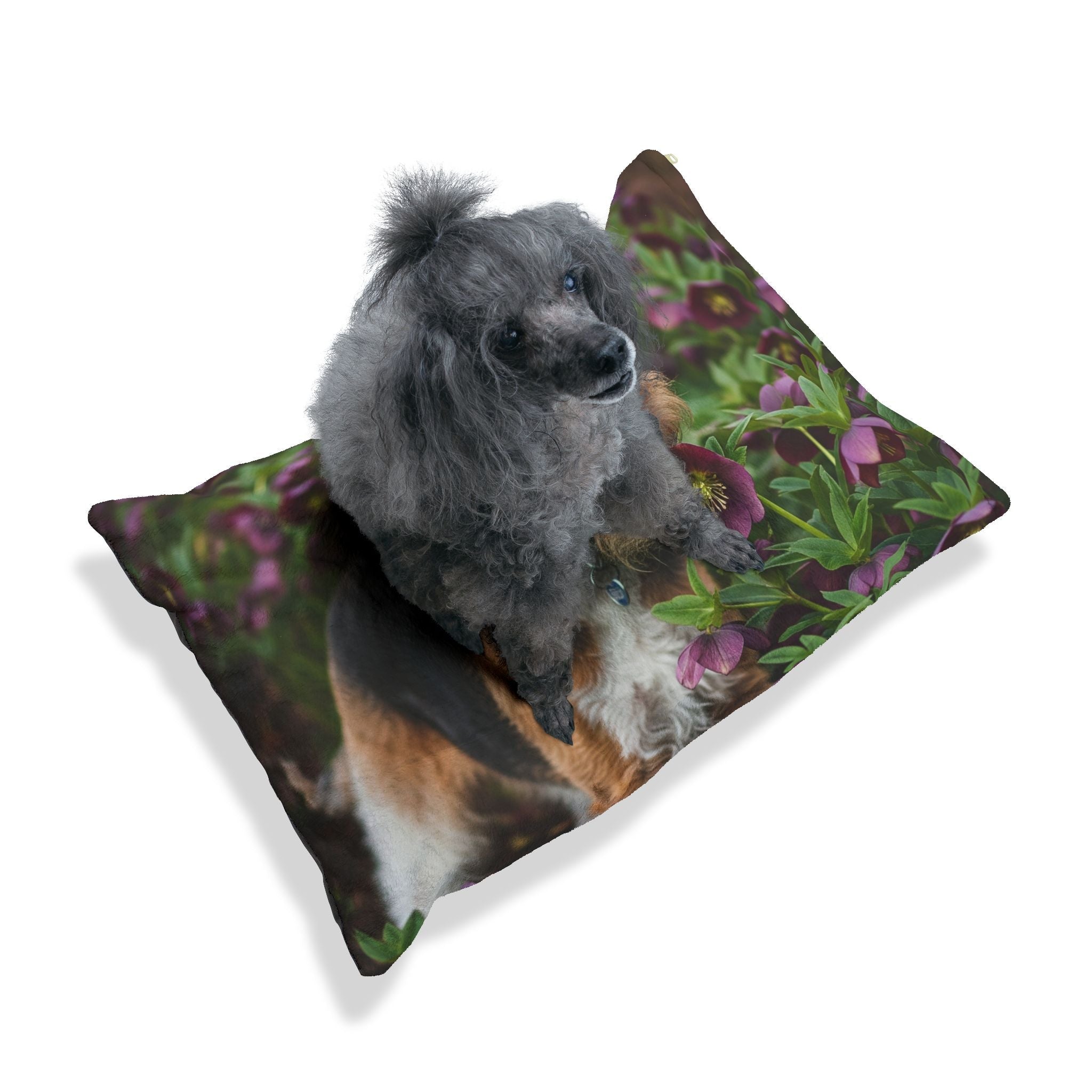 Pet Bed – Plush Dog Bed, 3 Size Options