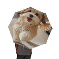 48" Semi-Automatic Umbrella – Windproof Large Travel Rain Umbrella