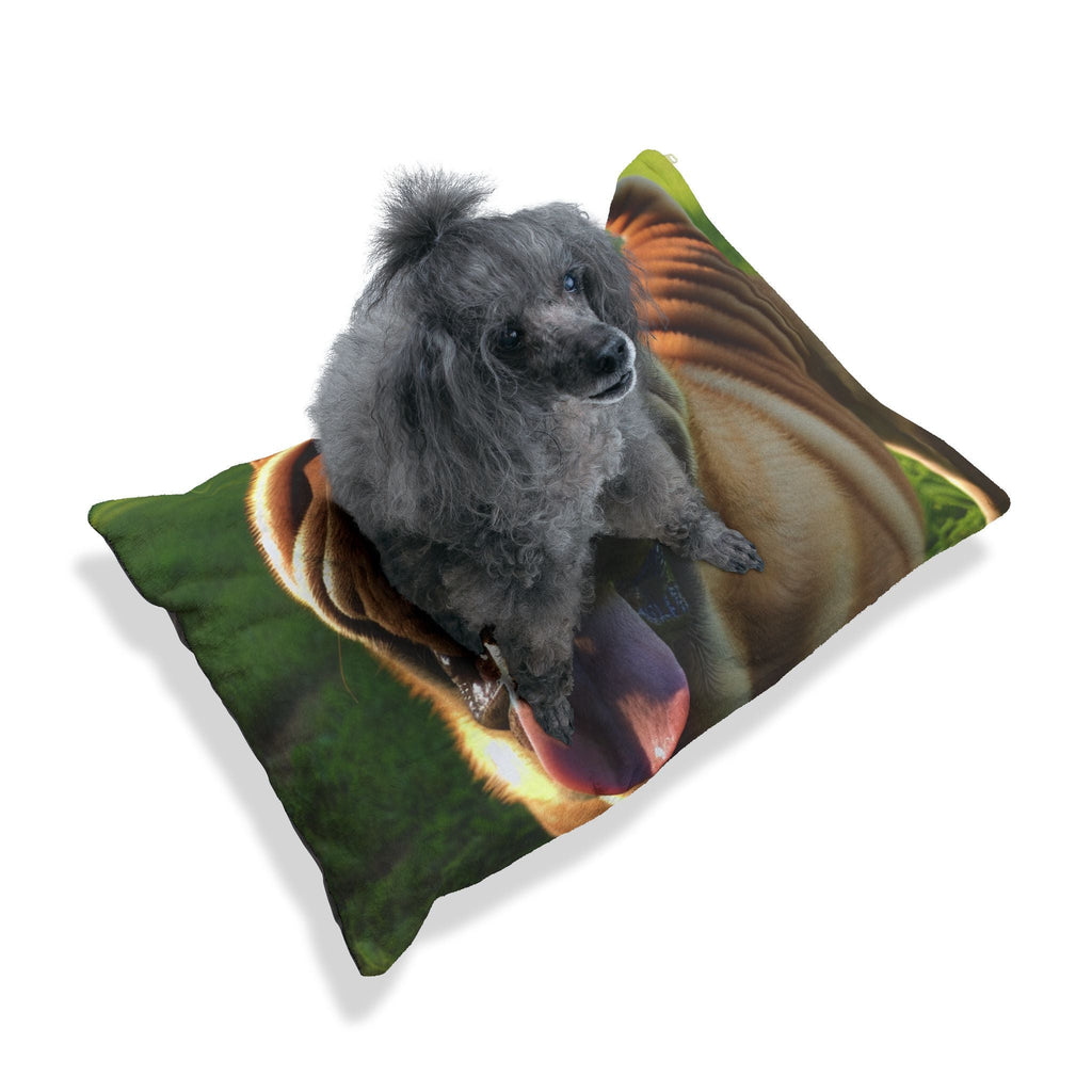 Pet Bed – Plush Dog Bed, 3 Size Options