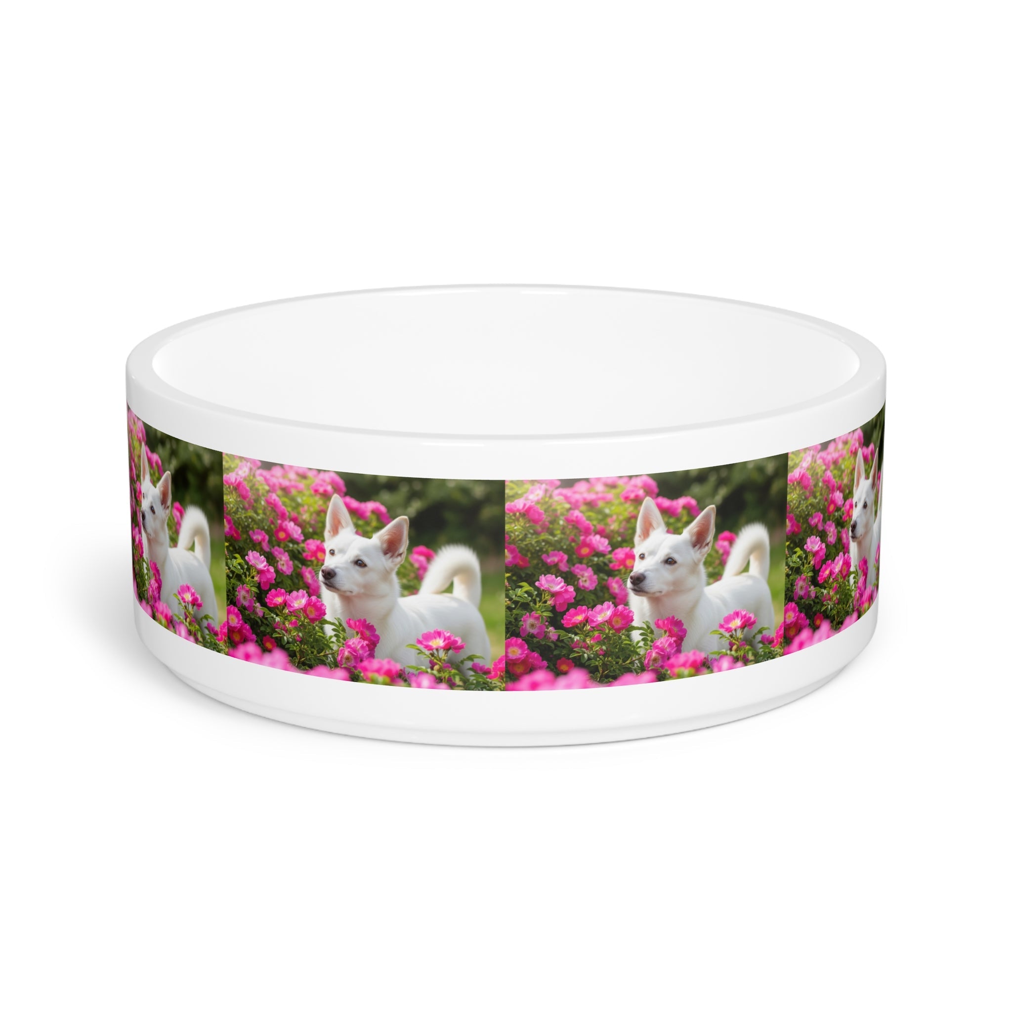 Ceramic Pet Bowl – 16 oz Dog Feeding Bowl