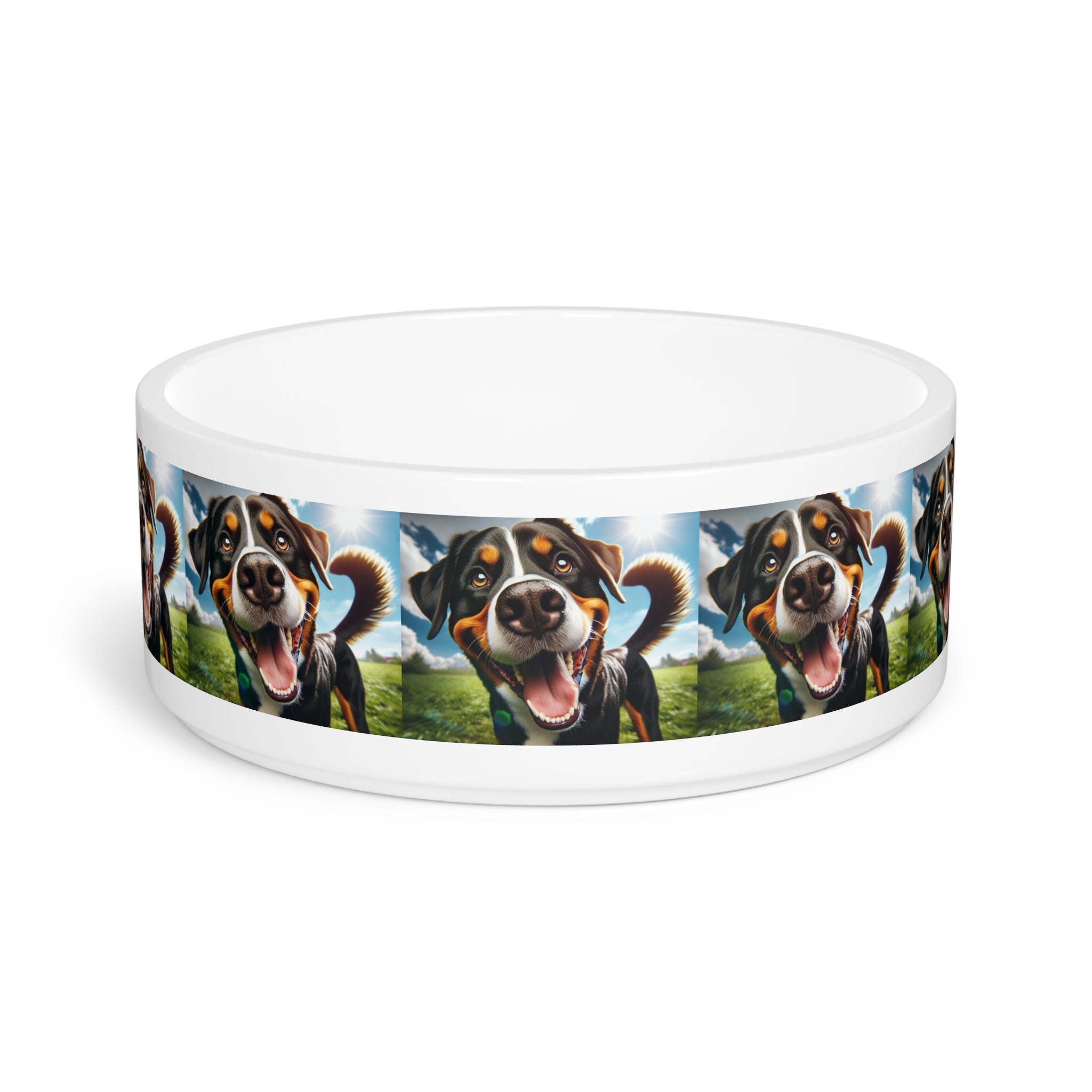 Ceramic Pet Bowl – 16 oz Dog Feeding Bowl