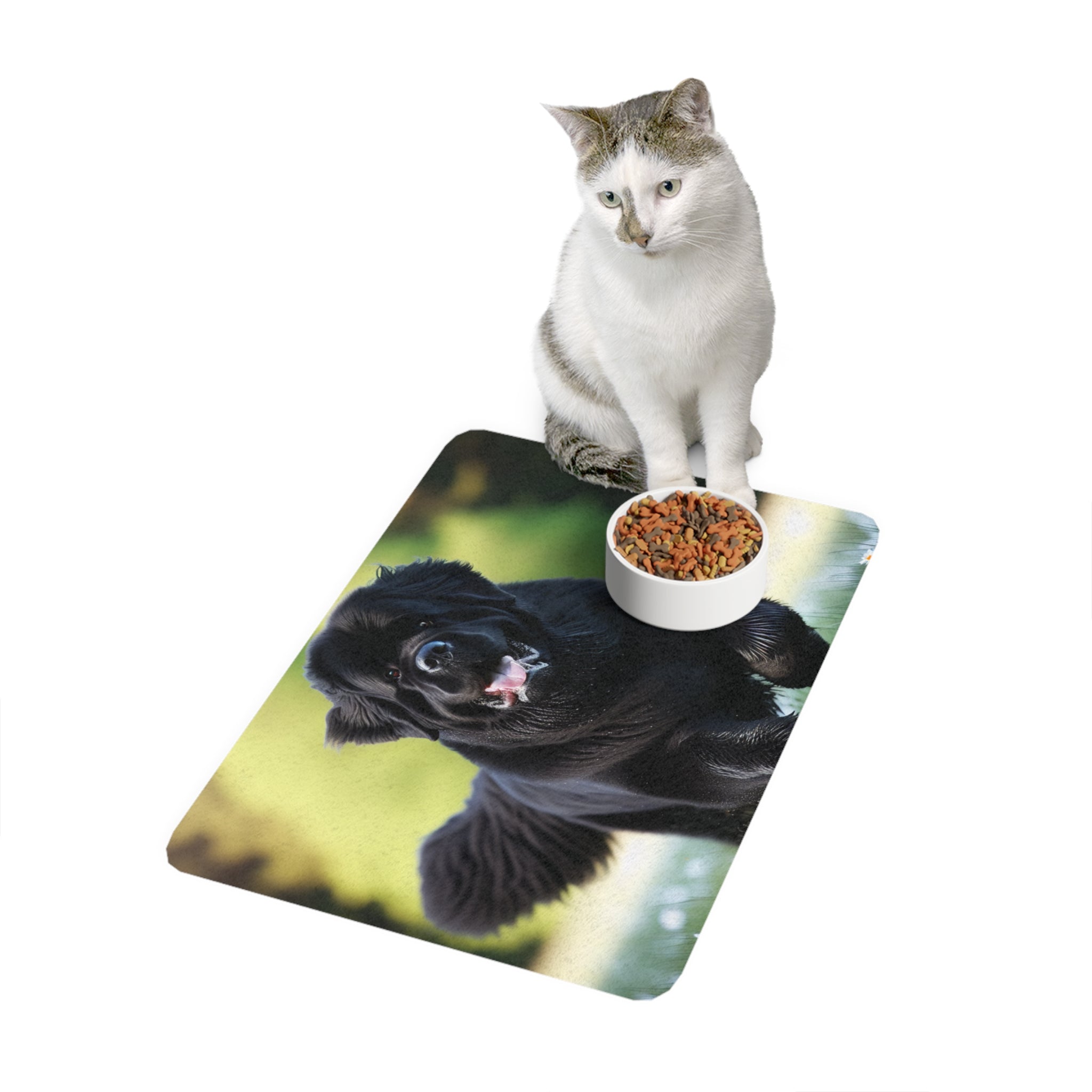 Non-Slip Pet Food Mat – Waterproof Feeding Mat for Dogs