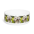 Ceramic Pet Bowl – 16 oz Dog Feeding Bowl