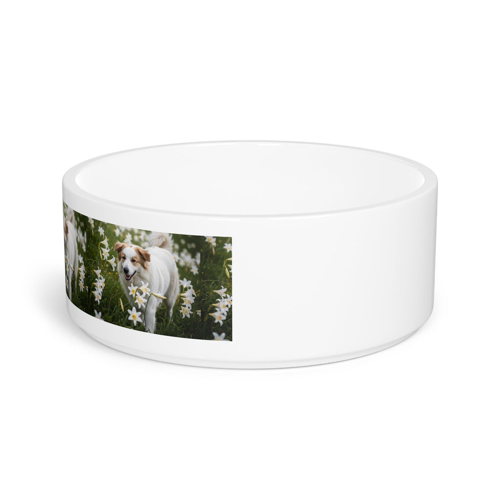 Ceramic Pet Bowl – 16 oz Dog Feeding Bowl