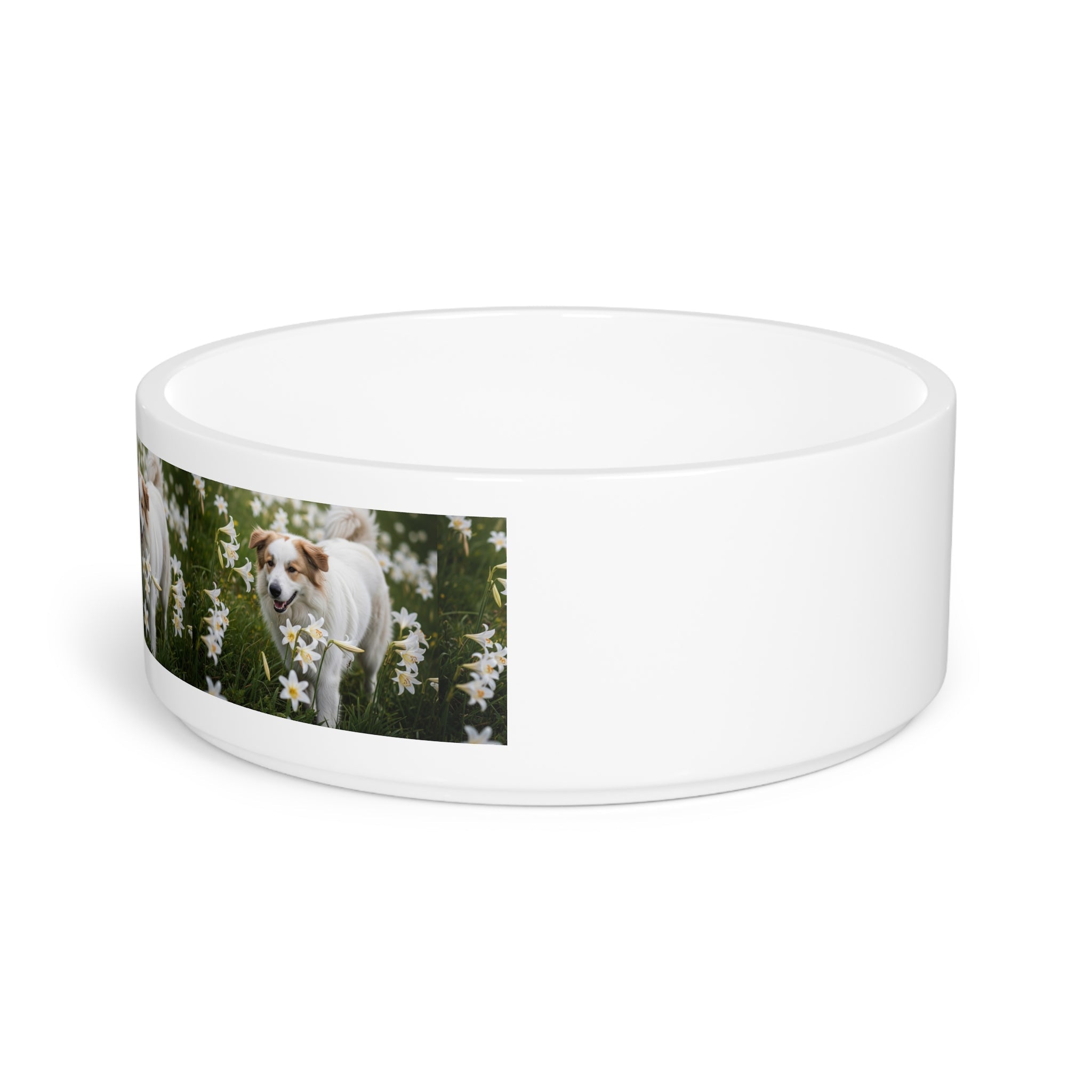 Ceramic Pet Bowl – 16 oz Dog Feeding Bowl