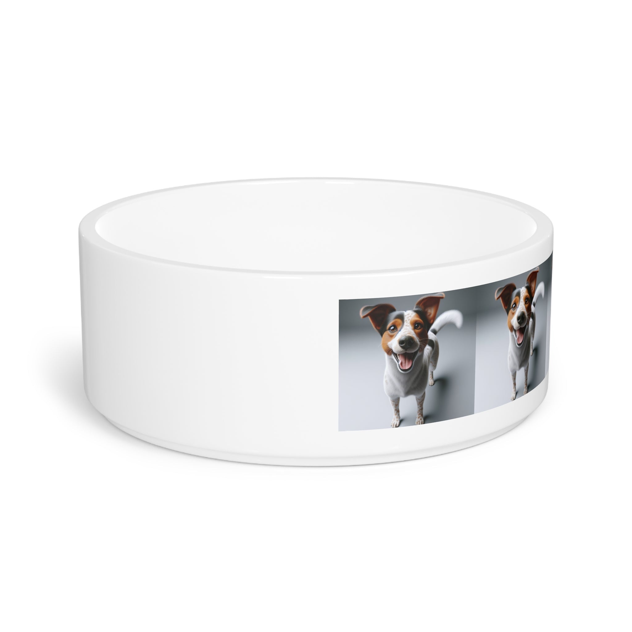 Ceramic Pet Bowl – 16 oz Dog Feeding Bowl
