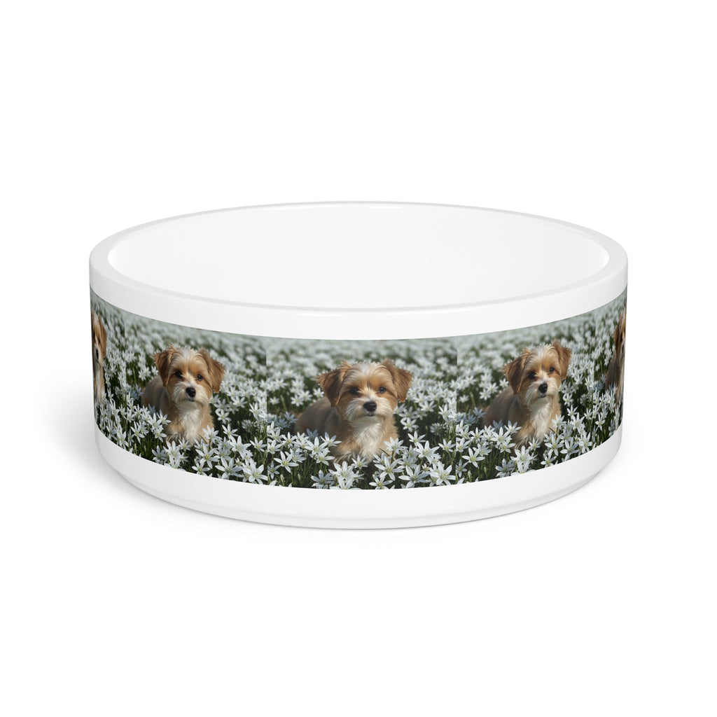 Ceramic Pet Bowl – 16 oz Dog Feeding Bowl
