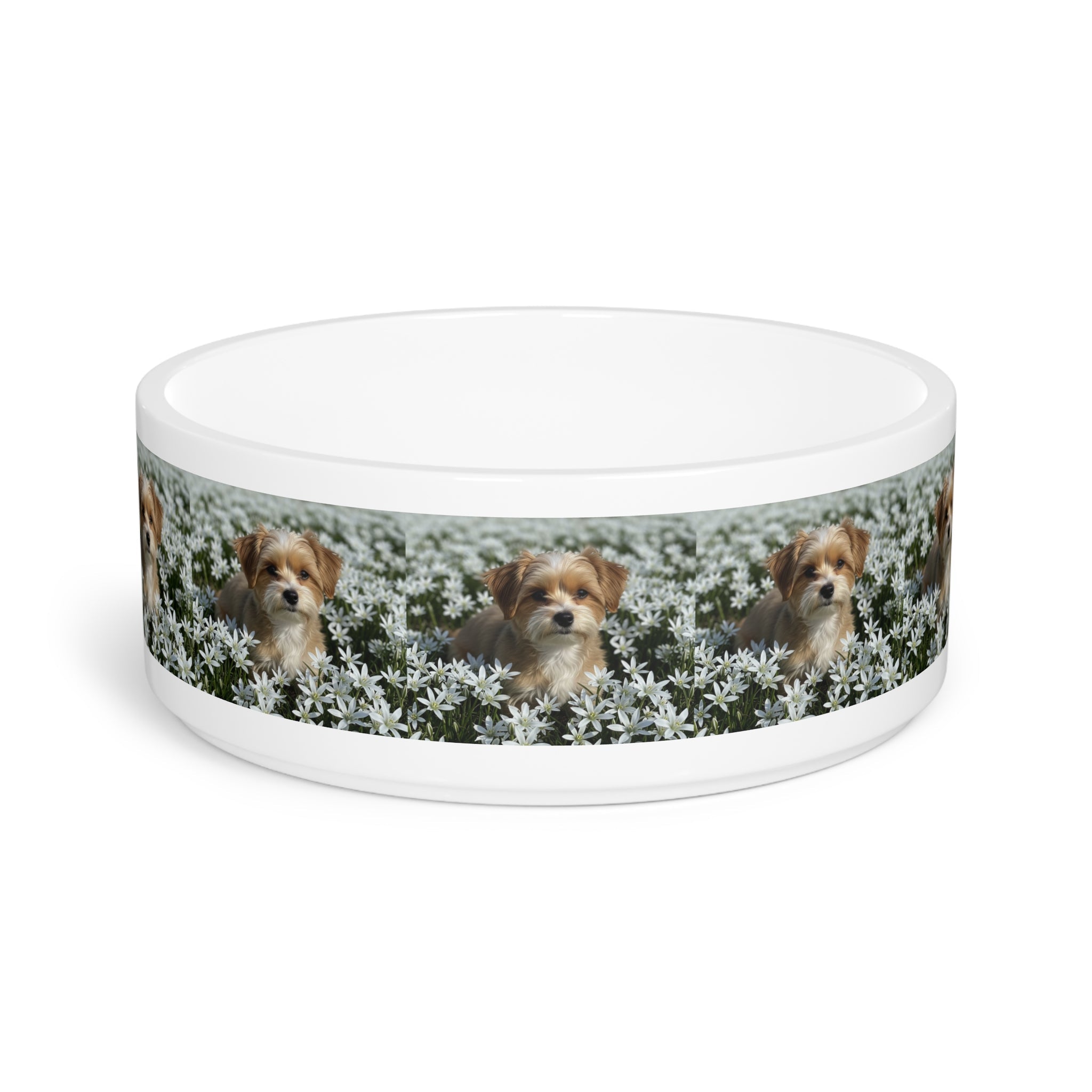 Ceramic Pet Bowl – 16 oz Dog Feeding Bowl