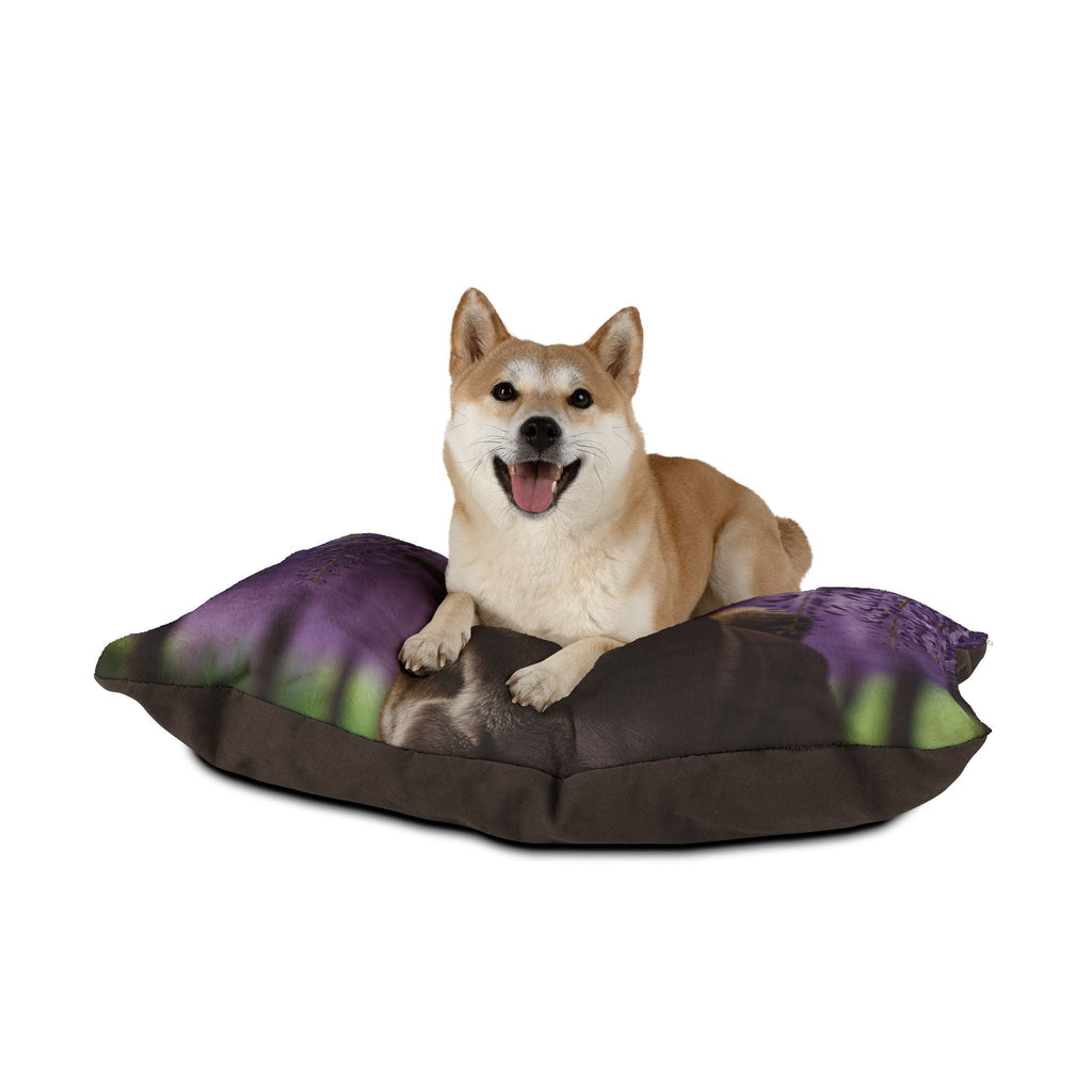 Pet Bed – Plush Dog Bed, 3 Size Options