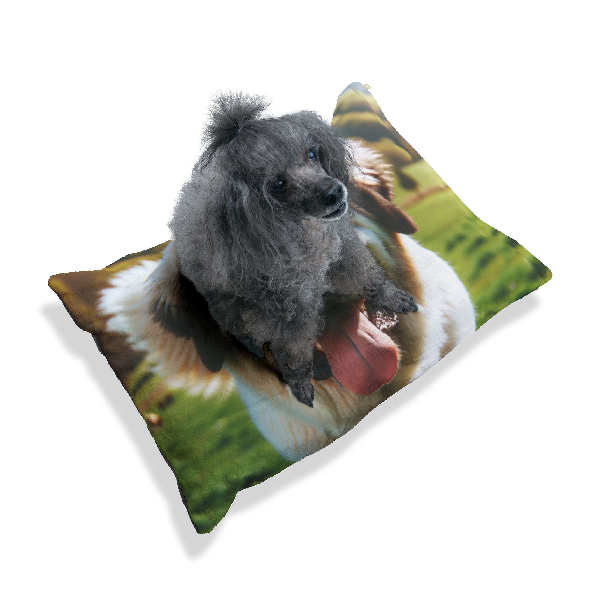 Pet Bed – Plush Dog Bed, 3 Size Options