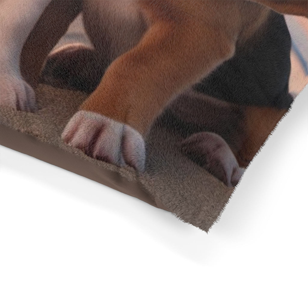 Pet Bed – Plush Dog Bed, 3 Size Options