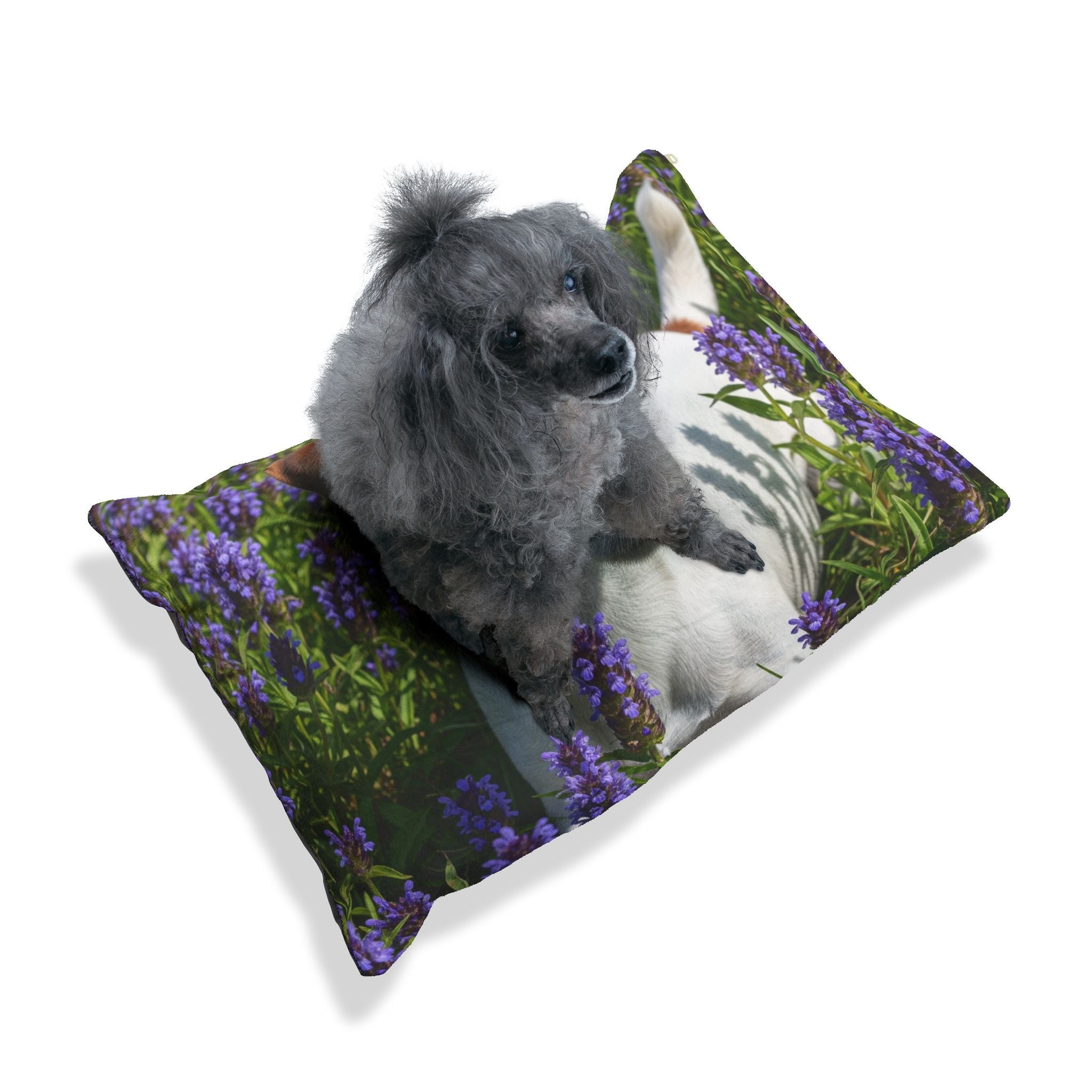 Pet Bed – Plush Dog Bed, 3 Size Options