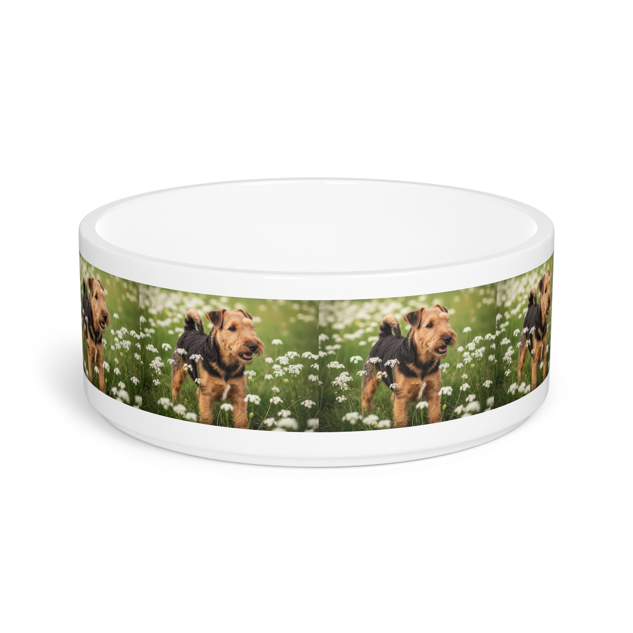 Ceramic Pet Bowl – 16 oz Dog Feeding Bowl