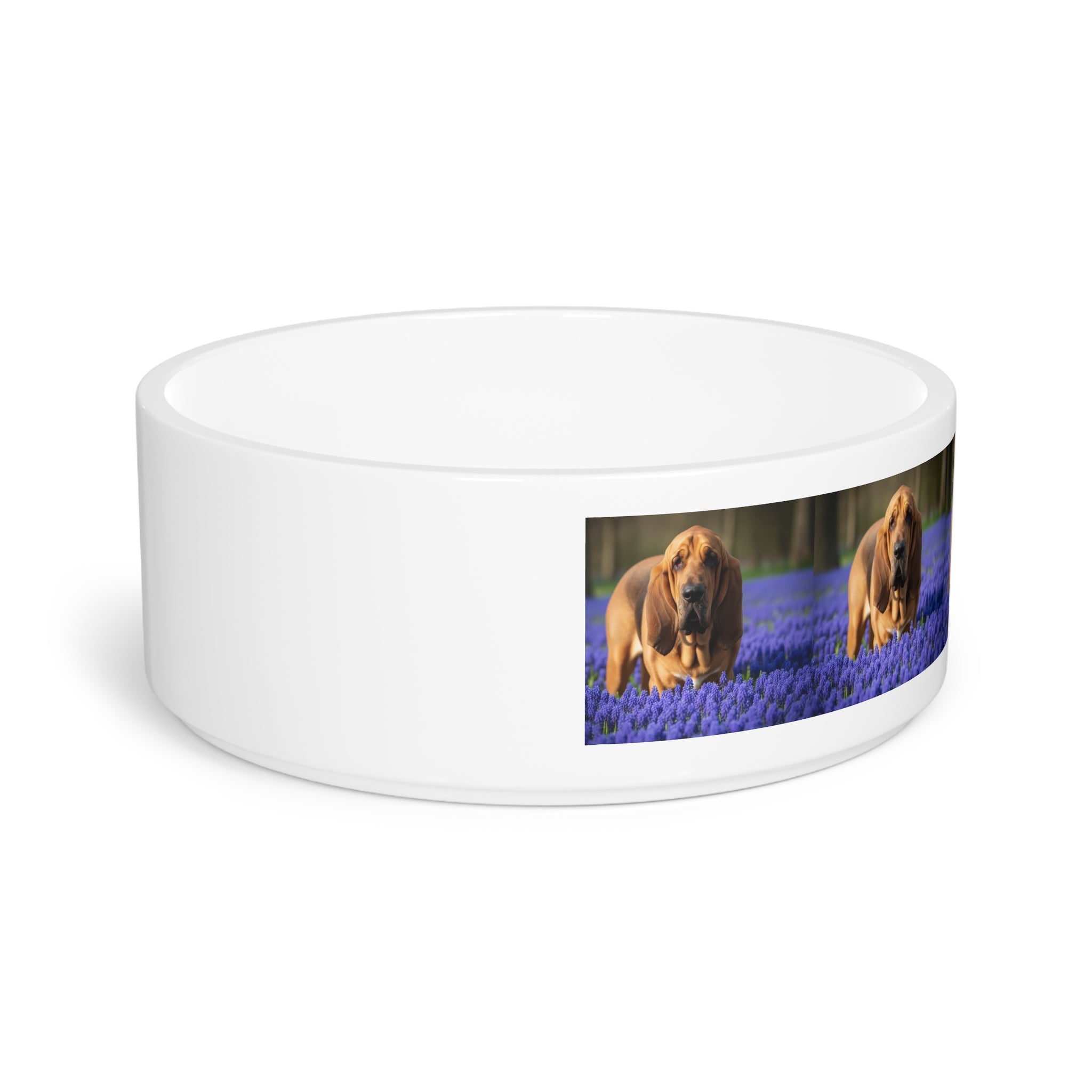 Ceramic Pet Bowl – 16 oz Dog Feeding Bowl