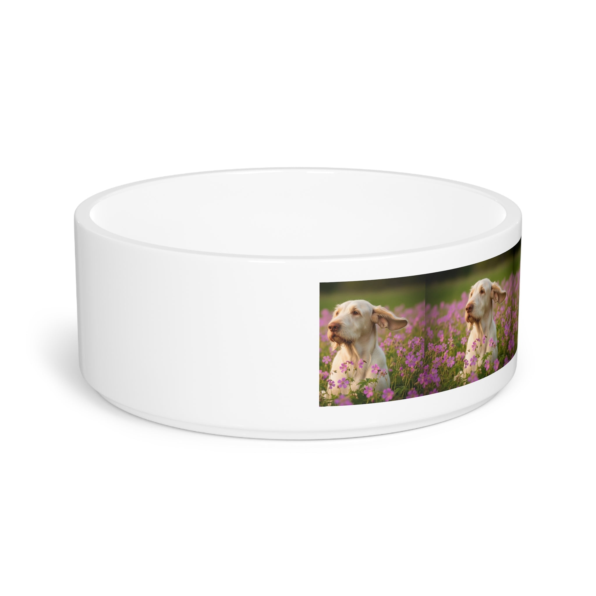 Ceramic Pet Bowl – 16 oz Dog Feeding Bowl