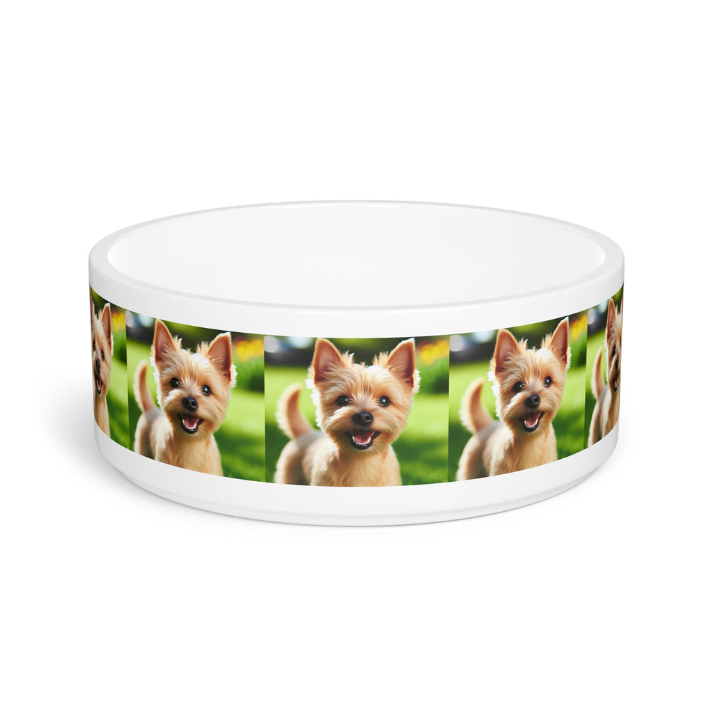 Ceramic Pet Bowl – 16 oz Dog Feeding Bowl