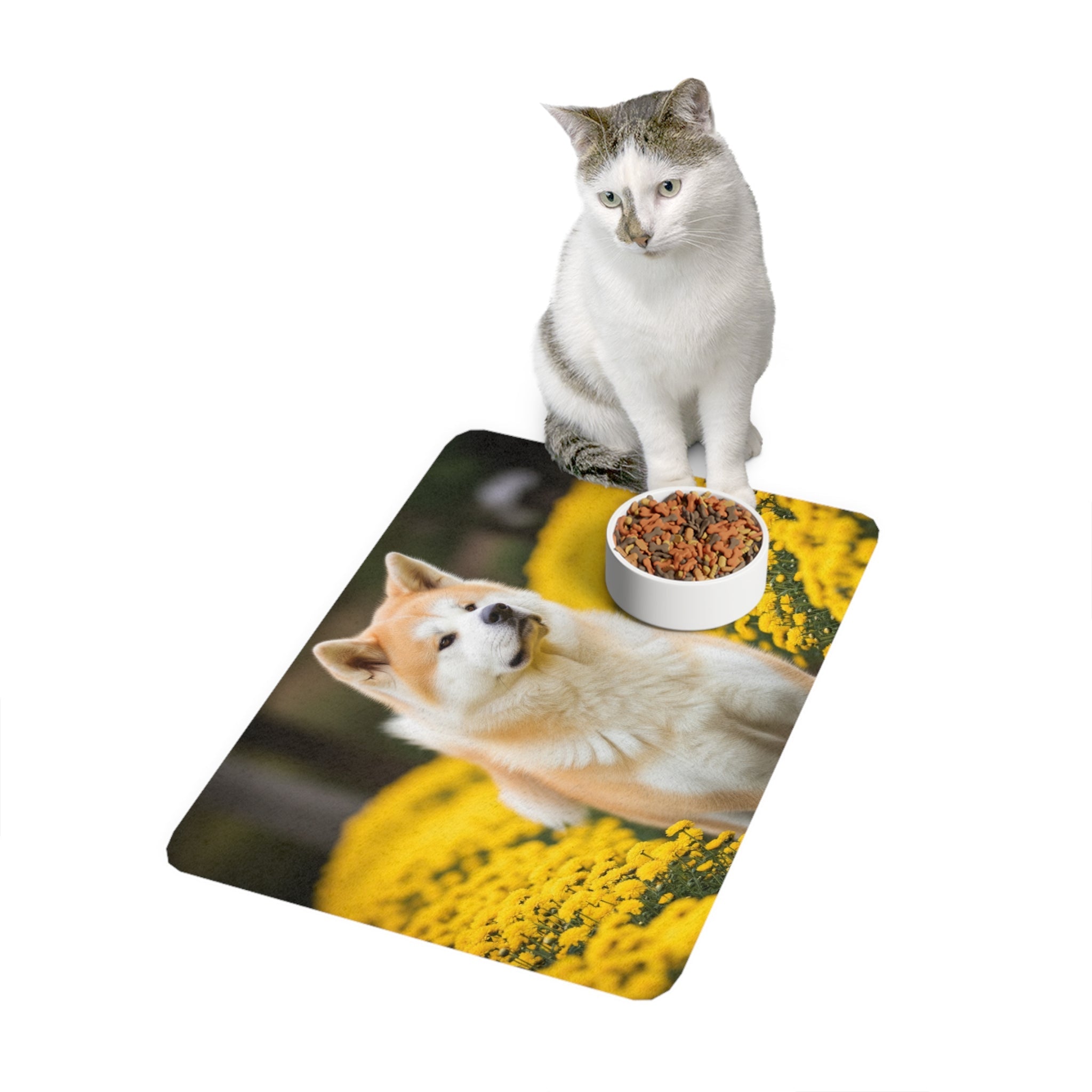 Non-Slip Pet Food Mat – Waterproof Feeding Mat for Dogs