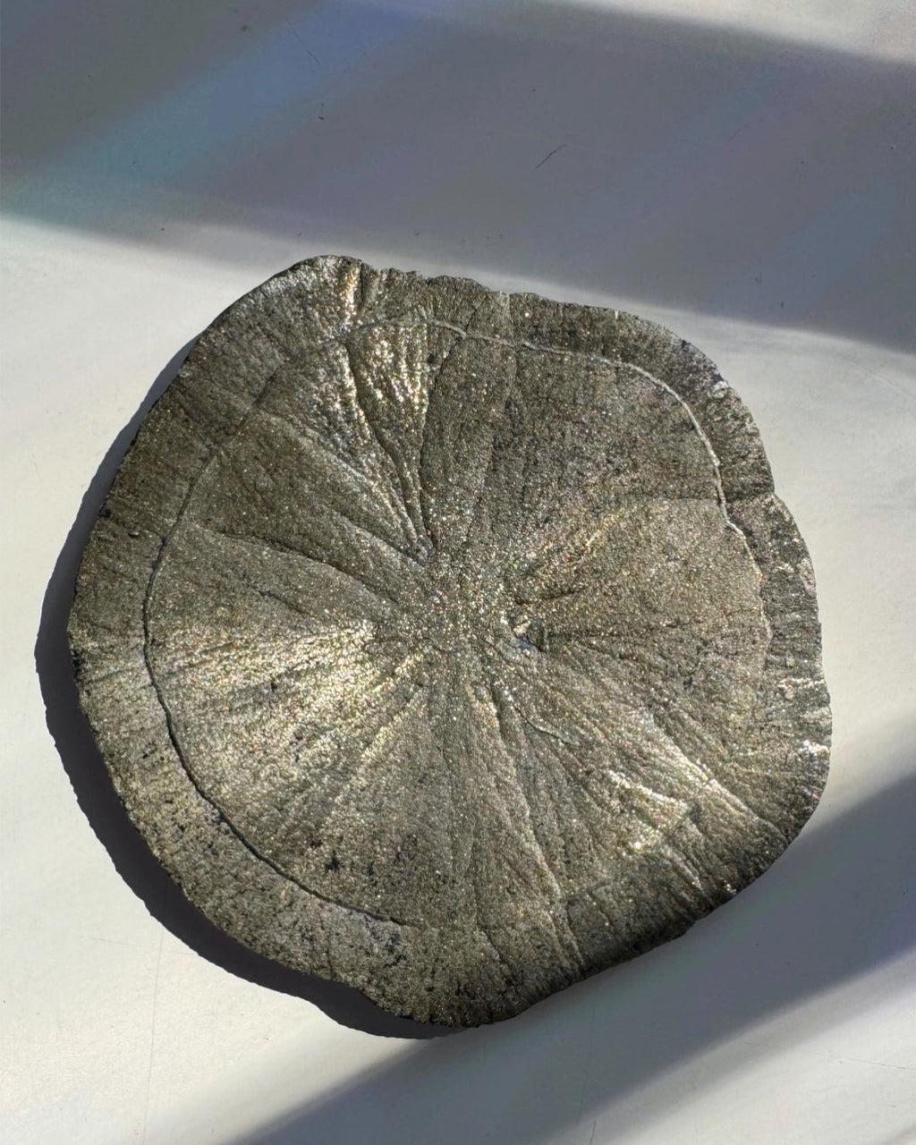 Pyrite Sun