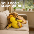 Paw Bounds™ Durable Calming Duck