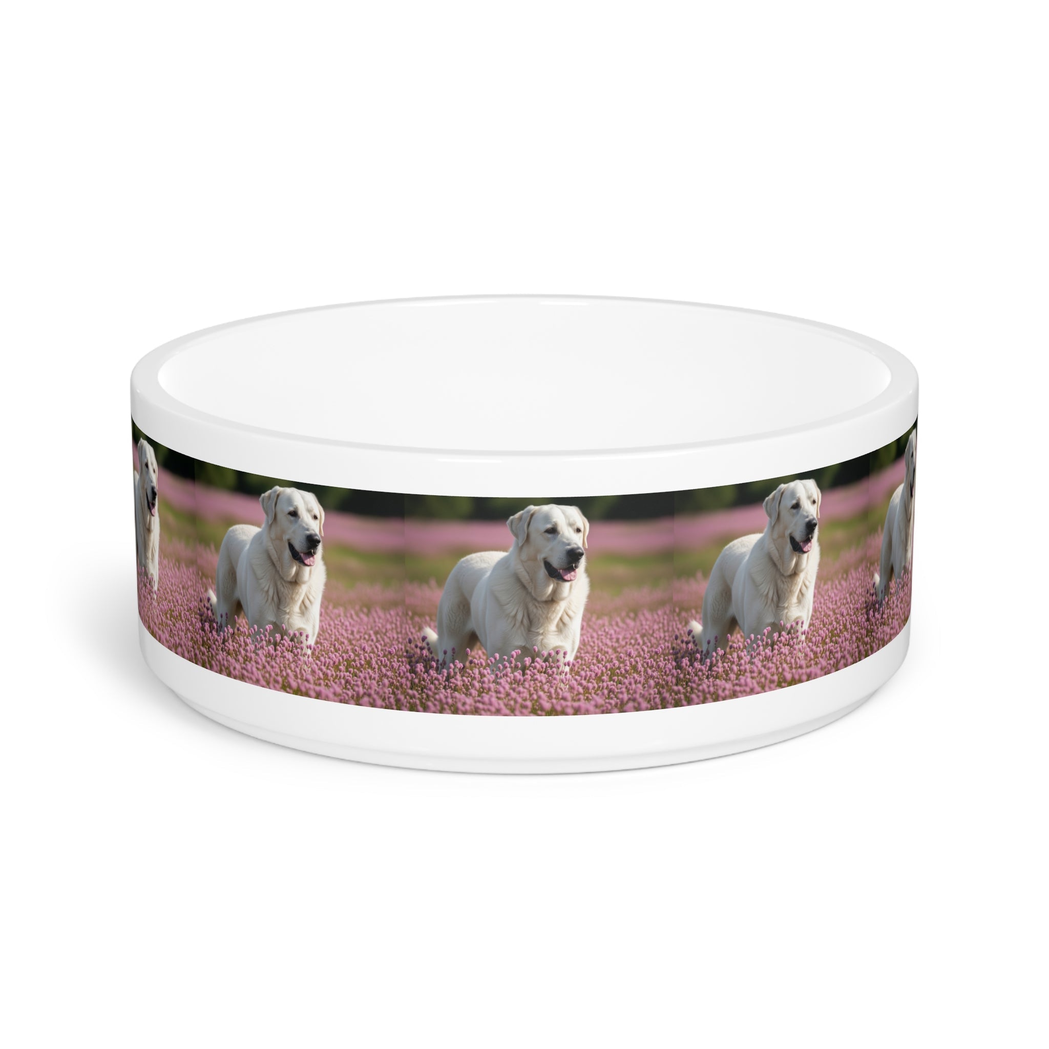 Ceramic Pet Bowl – 16 oz Dog Feeding Bowl