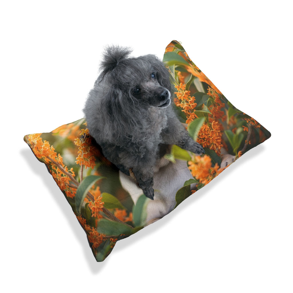 Pet Bed – Plush Dog Bed, 3 Size Options