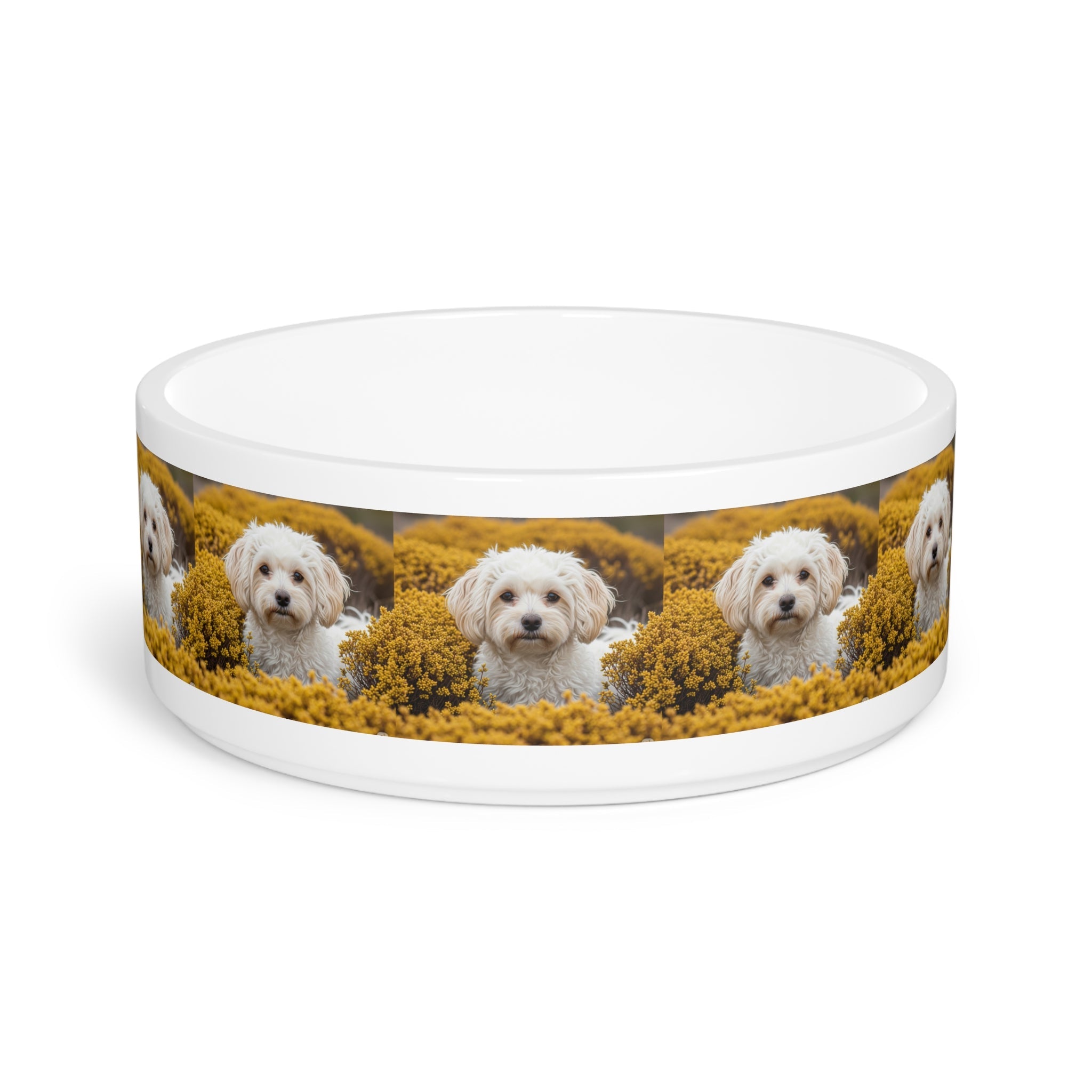 Ceramic Pet Bowl – 16 oz Dog Feeding Bowl