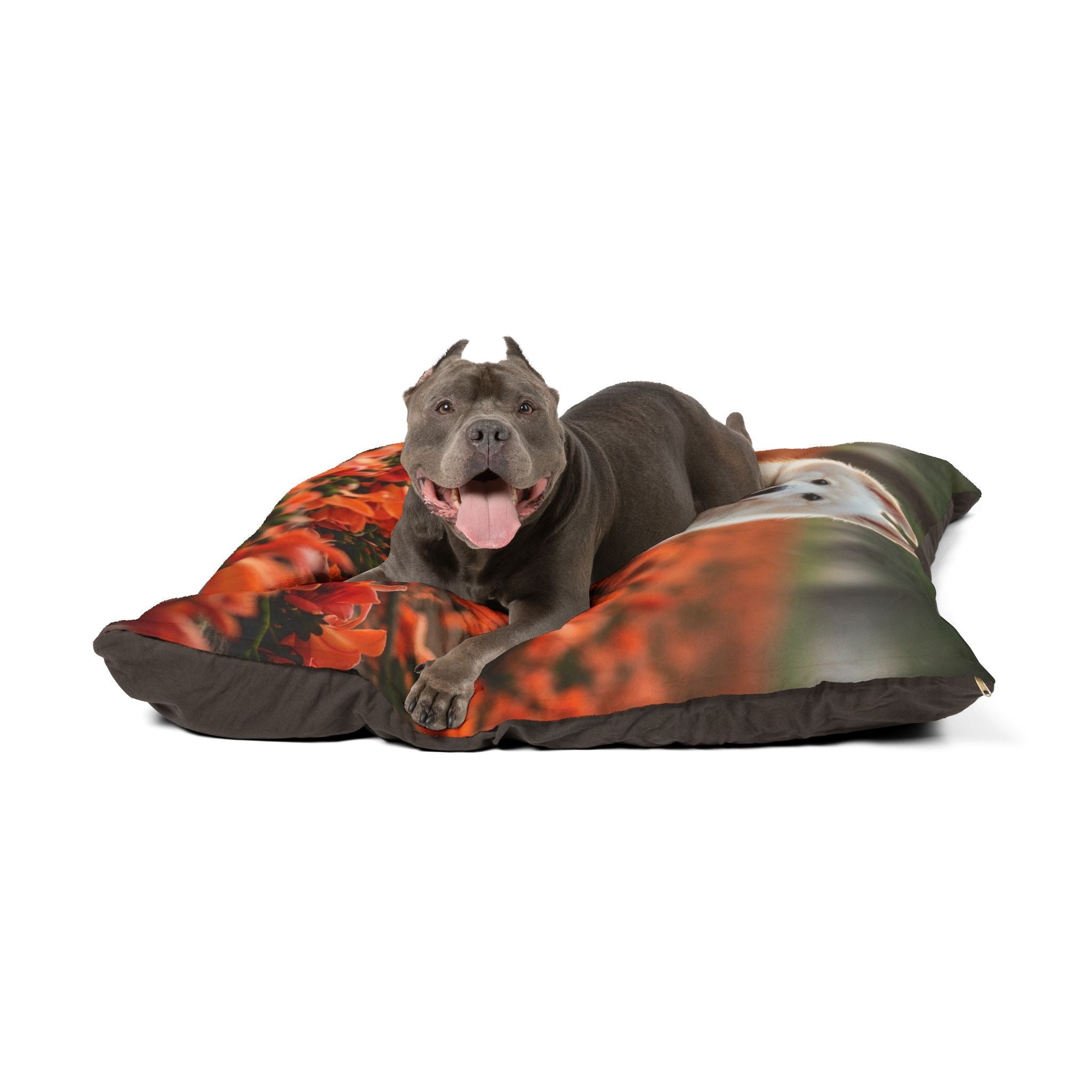 Pet Bed – Plush Dog Bed, 3 Size Options