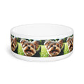 Ceramic Pet Bowl – 16 oz Dog Feeding Bowl
