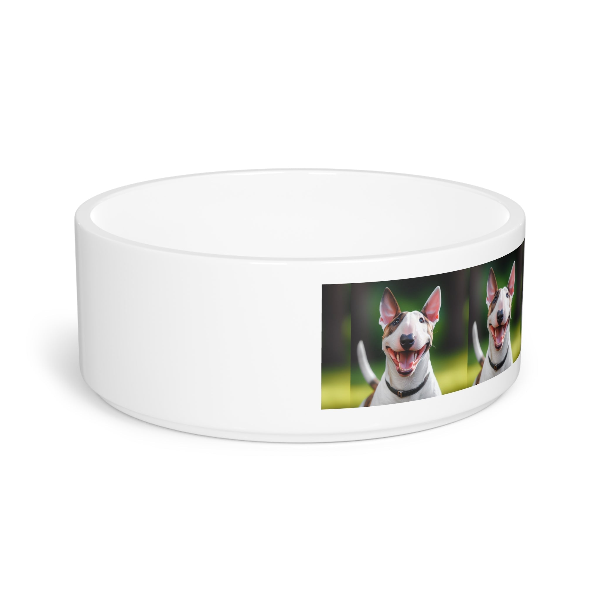 Ceramic Pet Bowl – 16 oz Dog Feeding Bowl